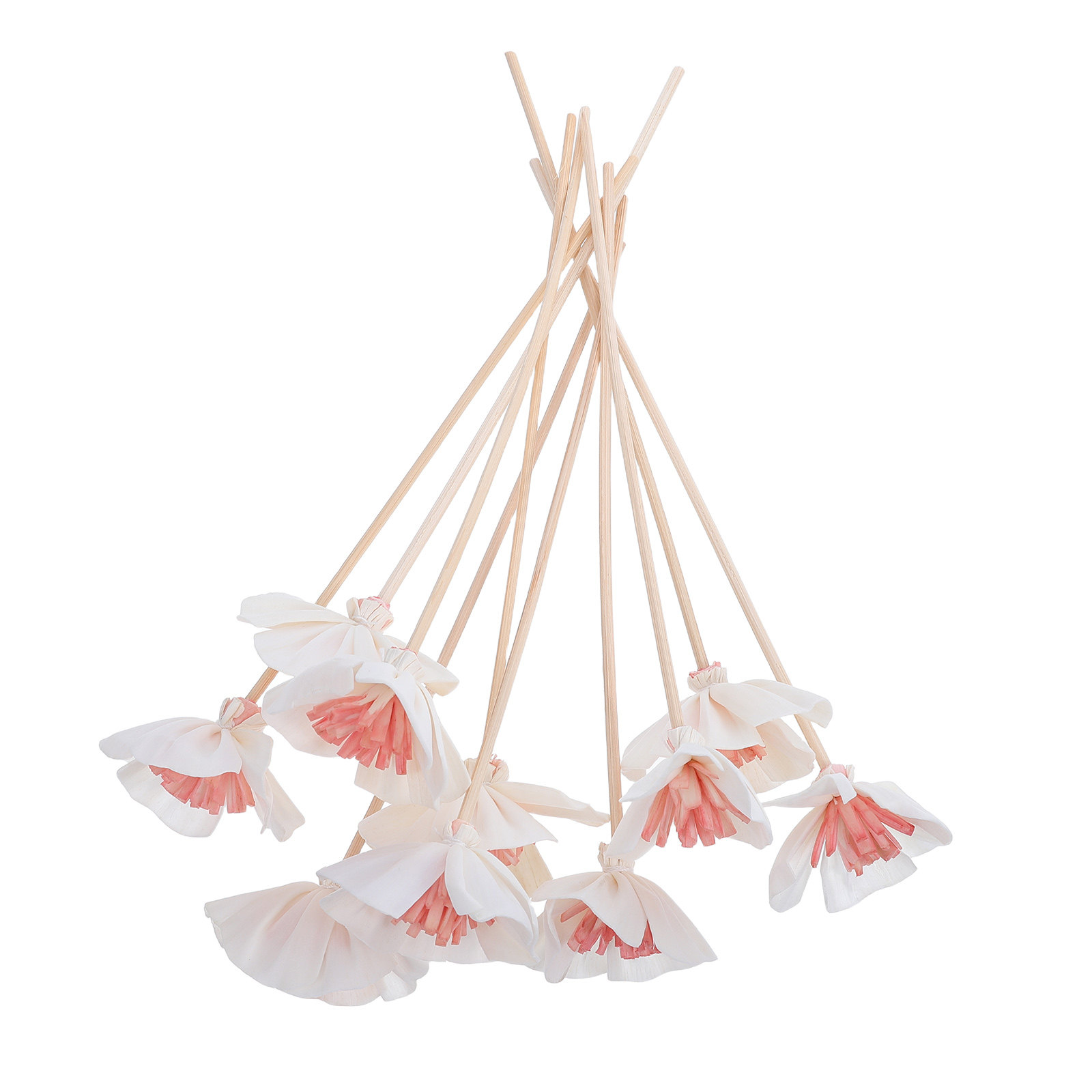 10Pcs Essential Oil Diffuser S - đánh giá và giá Home Fragrance