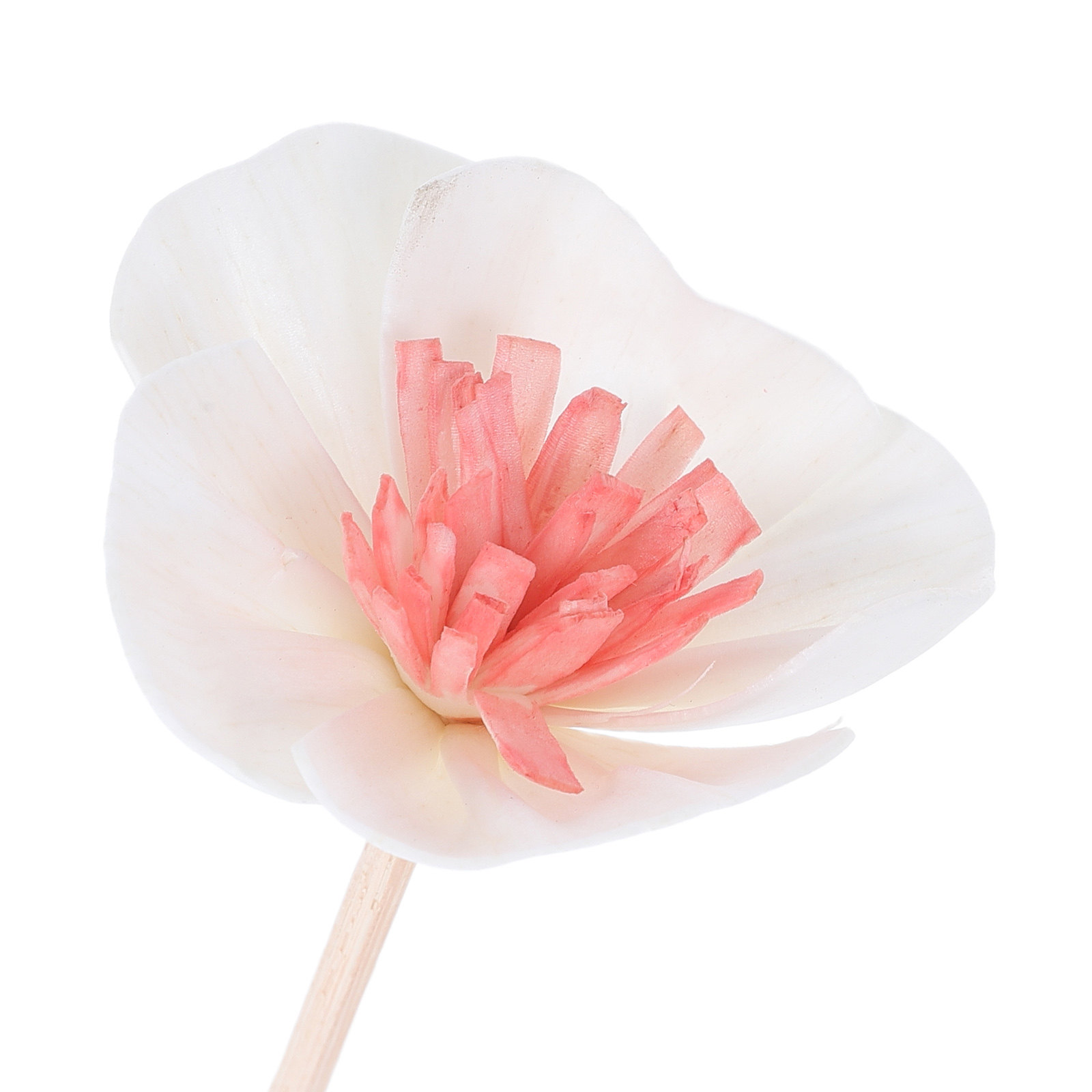10Pcs Essential Oil Diffuser S - đánh giá và giá Home Fragrance