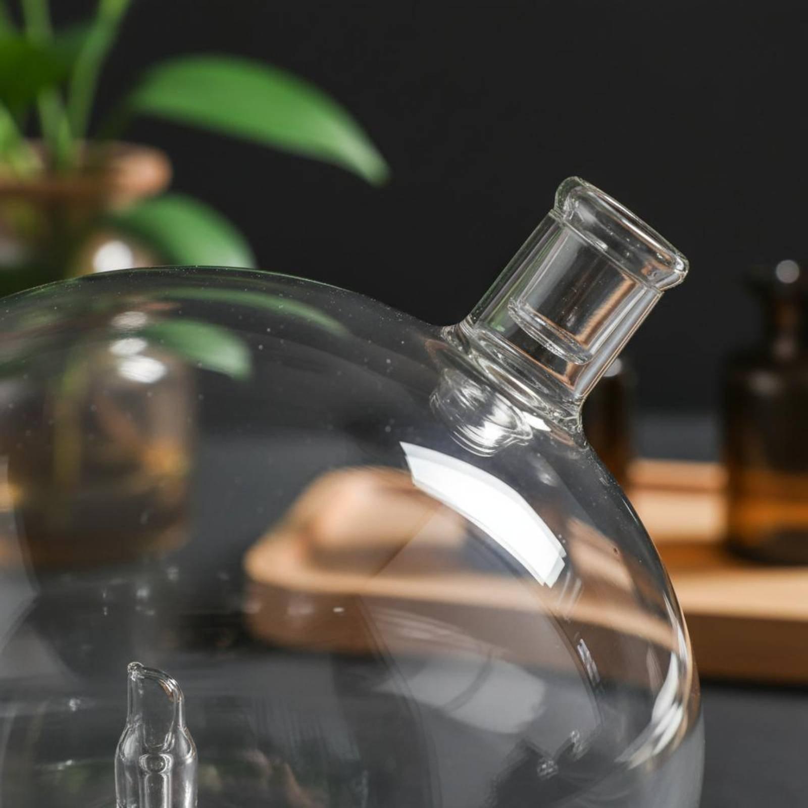 Diffuser Bottle Universal Fit  - đánh giá và giá Home And You Fragrance Diffuser